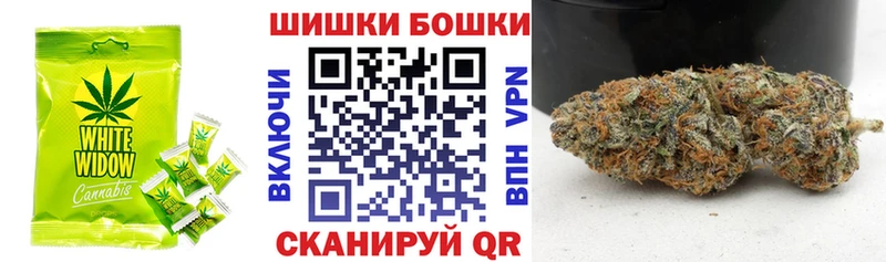 дарк нет клад  Бакал  Cannafood конопля 