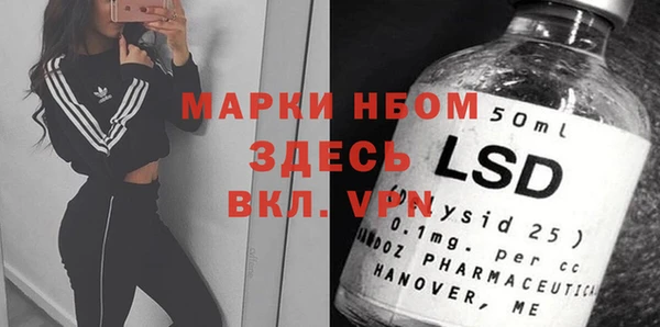 индика Алзамай