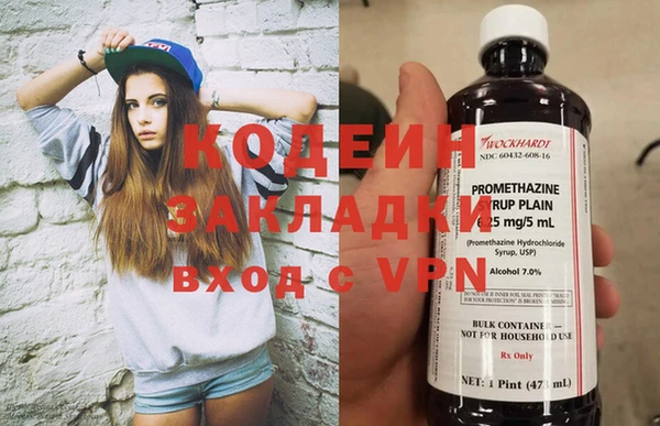 индика Алзамай