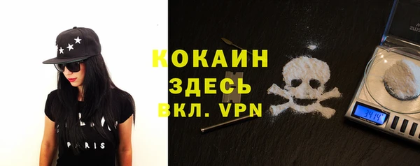 индика Алзамай