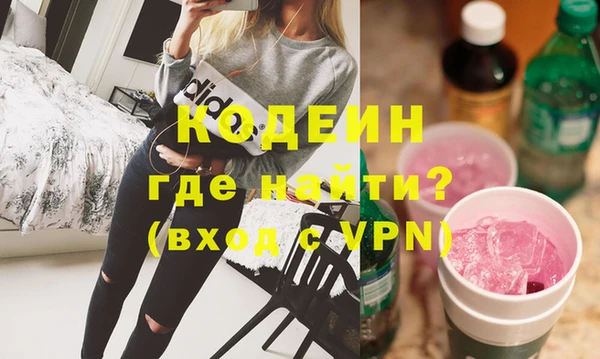 индика Алзамай