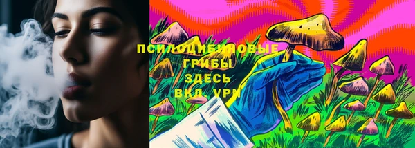 индика Алзамай