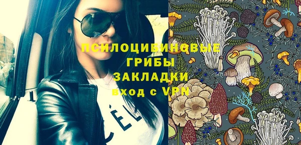 индика Алзамай