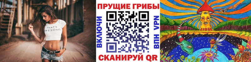 Псилоцибиновые грибы прущие грибы  даркнет сайт  Бакал 