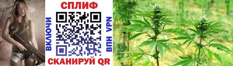 omg ONION  Бакал  Марихуана LSD WEED 